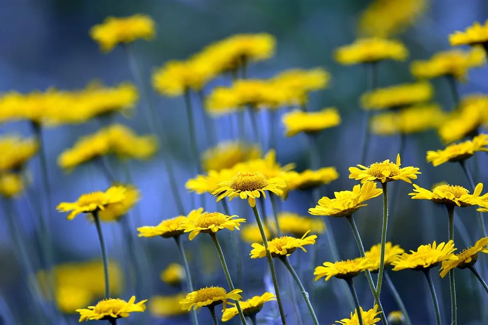 5 Tipps für einen unvergesslichen Sommer im Bäderland Bayerische Rhön