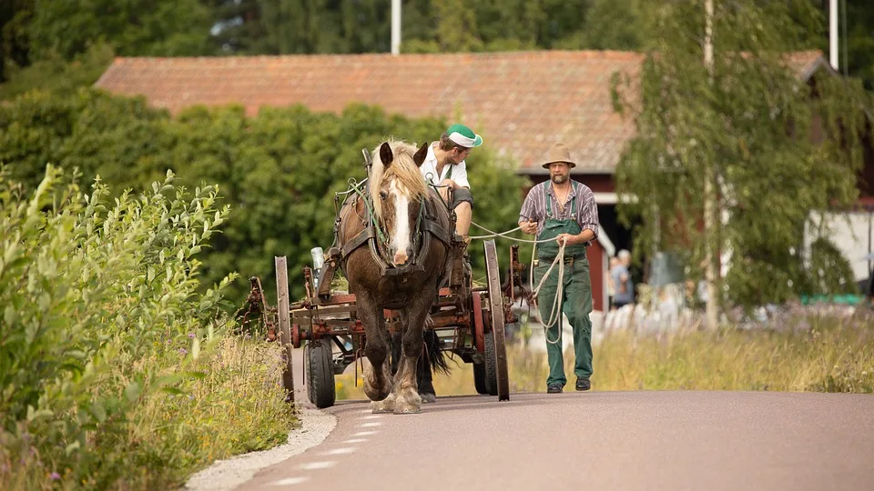 Alkoholisierte Fahrerin verursacht Unfall: Hoher Schaden und Ermittlungen