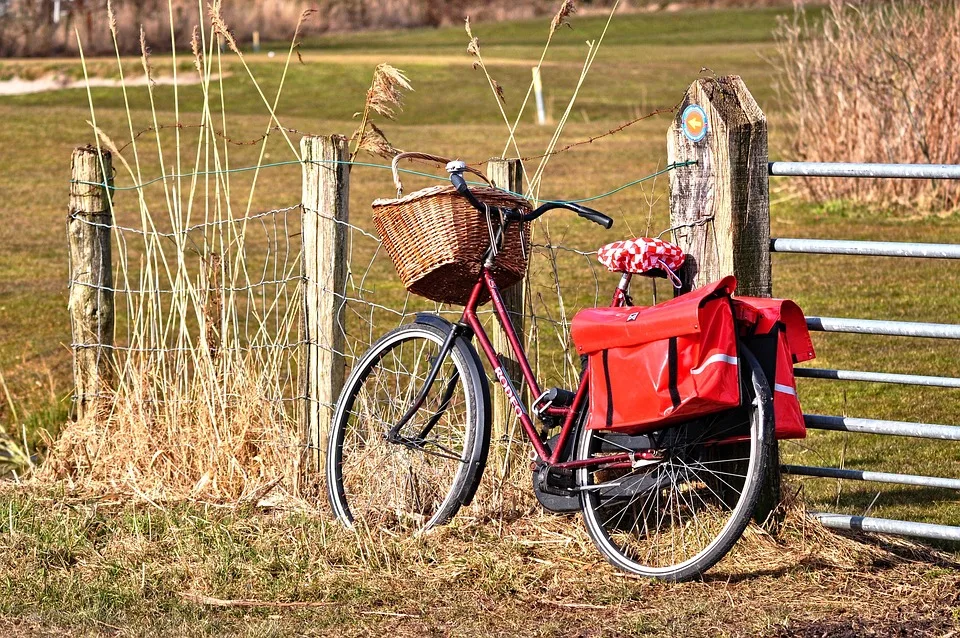 Alkoholisierte Radfahrerin nach Unfall auf B49 leicht verletzt