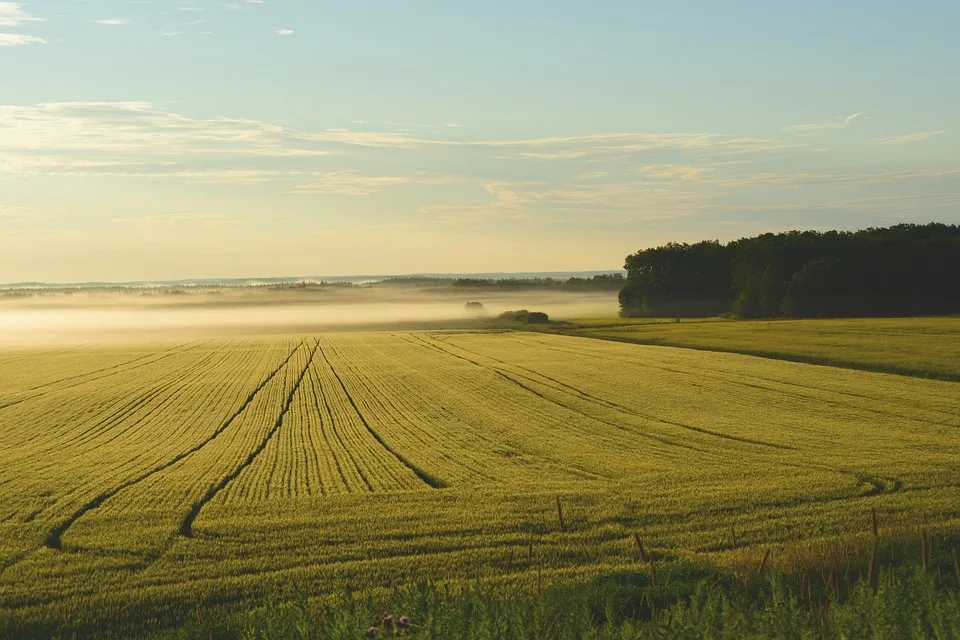 Anstieg der Grundstücksverkäufe in Sachsen-Anhalt: 2023 im Überblick