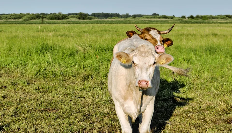 BioWochen NRW 2024: Erleben Sie Frische und Vielfalt in Ihrer Region!