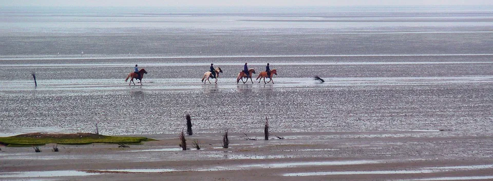 Cuxhaven: Wie der Fischgeruch zur Heimat der Seestadt gehört