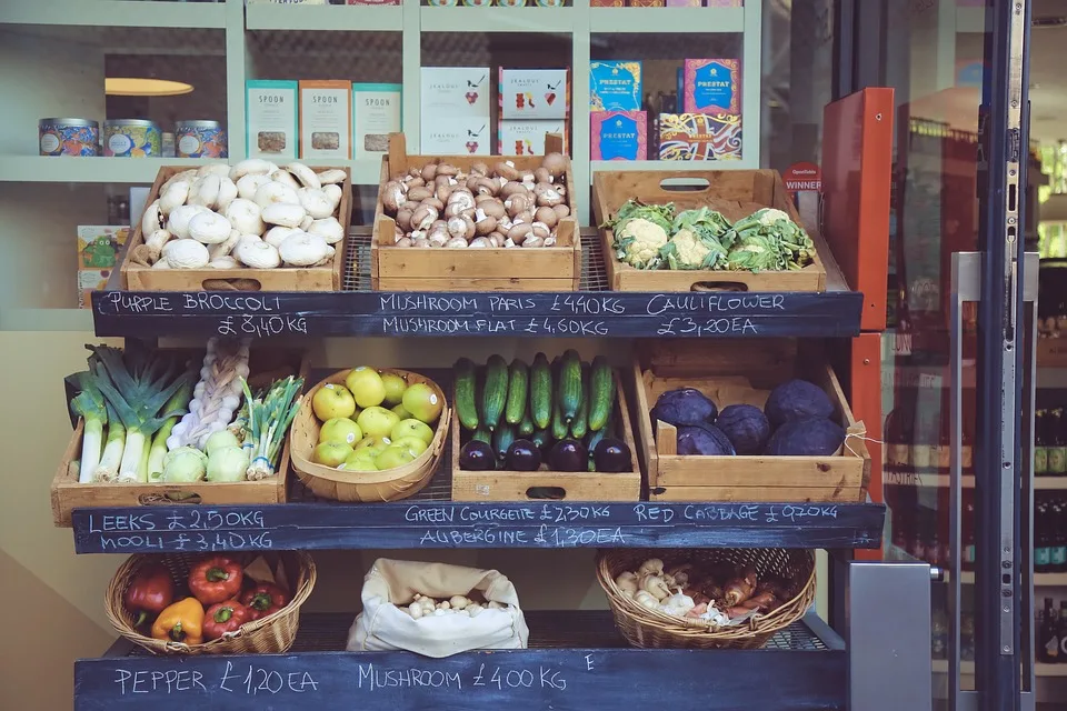 Delfo: Neuer Tiefkühl-Supermarkt begeistert mit originellem Konzept