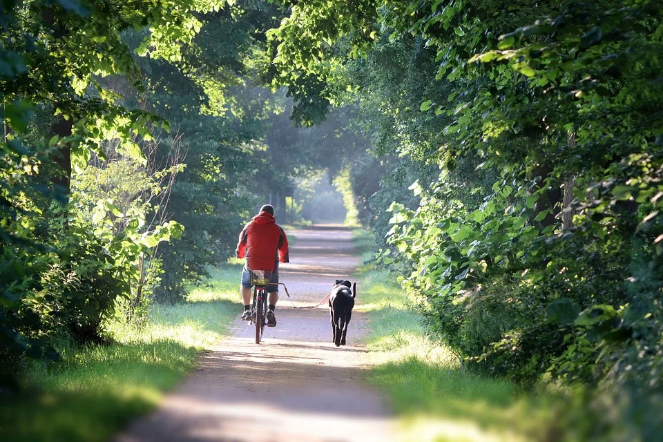 E-Bike-Diebstahl in Kiel: Polizei nimmt Täter auf der Flucht fest