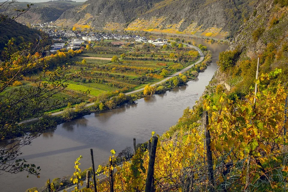 Federweißer: Ein Genussbote des Herbstes aus der Pfalz