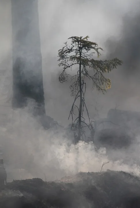 Feuer in Wernigerode: 17 Bewohner evakuiert, keine Verletzten