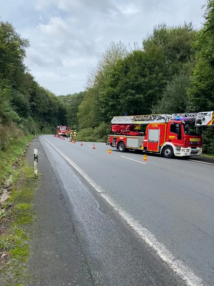 Freiwillige Feuerwehr räumt gleich zwei umgestürzte Bäume in Herdecke