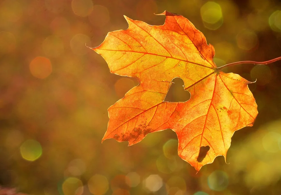 Herbstbunt: Volksfeste im September 2024 in NRW entdecken!