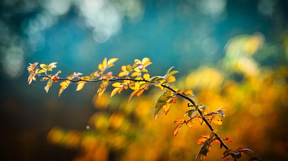 Herbstmode in München: Übergangsjacken für jeden Anlass