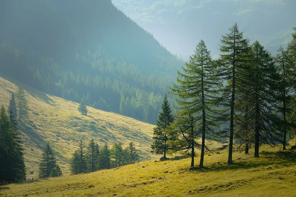 Im Südharz: Waldtag begeistert mit Holzrücken und neuen Königinnen