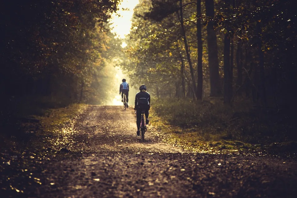 Initiative kämpft gegen Mountainbike-Trails am Langert in Aalen