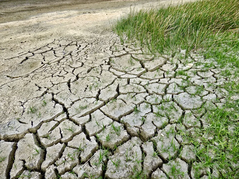 Klimawoche 2024: Gemeinsam für Wasser und Nachhaltigkeit im Kreis Groß-Gerau