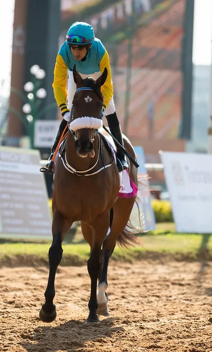 Krönender Abschluss: Der 154. Große Preis von Baden im Galopp