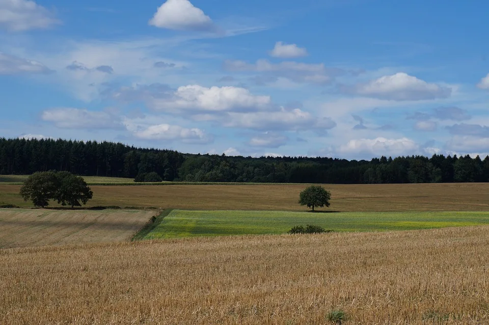 Morbach: Lebensgefährliches Überholmanöver auf L 160 – Zeugen gesucht