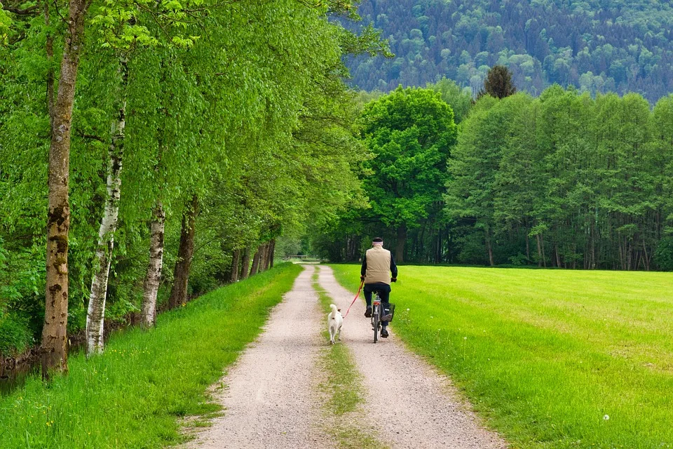 Neuer Elberadweg-Abschnitt: Radfahren von Zollenspieker nach Hamburg!