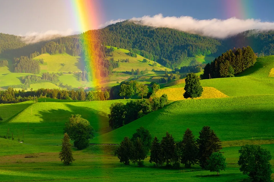 Rainbow Family im Harz: Behörden stoppen Ritualfeuer im Schutzgebiet