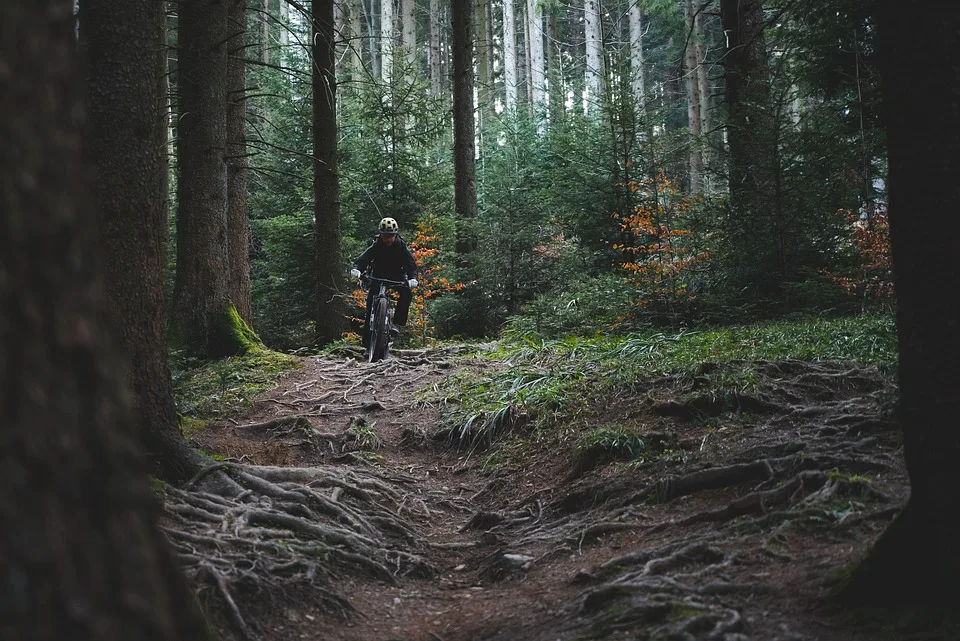 Rechtsstreit um Mountainbike-Strecke am Mariaberg: Zwischen Sport und Konflikt