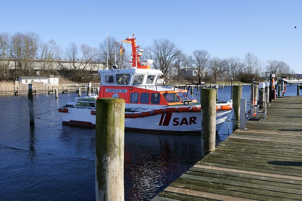 Retter im Einsatz: Reh schwimmt vergnügt im Gartenpool