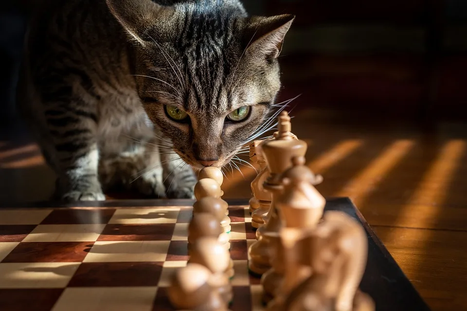 Schach-Sensation in Rosenheim: Fabian Bänziger triumphiert im GM-Turnier