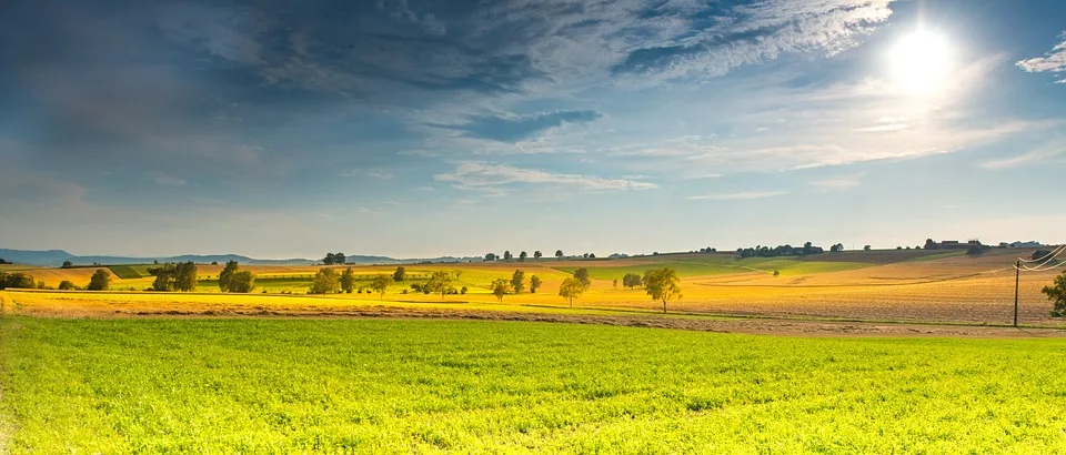 Sommerliche Klänge: Anima Nordica entführt in die schwedische Inselwelt