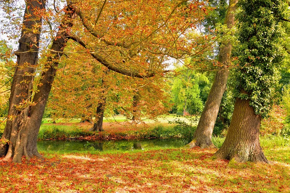 Spätsommer-Highlight: Hochsommerliche Tage vor dem Herbst in Nordoberpfalz