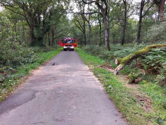 Sturmschaden in Hünxe: Umgestürzter Baum blockiert Straße