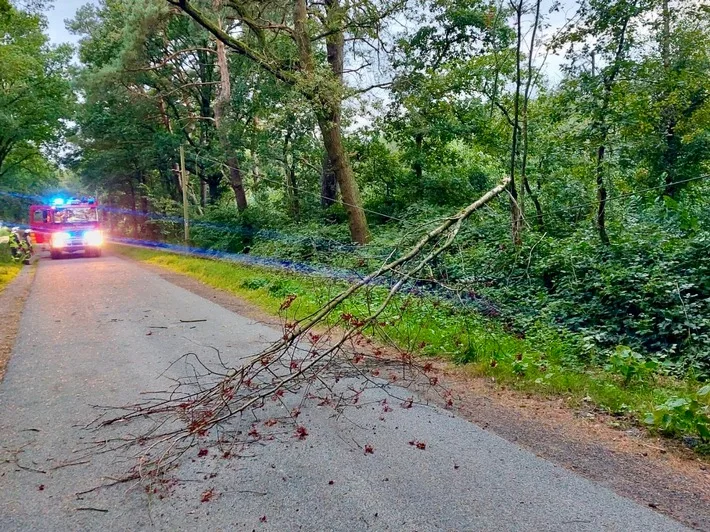 Sturmschaden in Hünxe: Umgestürzter Baum blockiert Telefonleitung