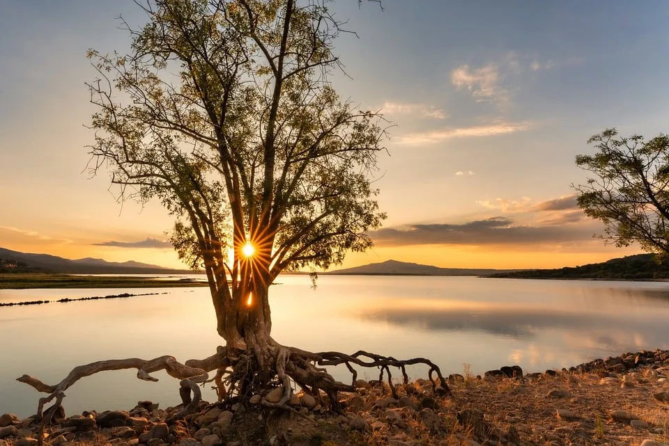 Sunny Days Ahead: NRW Erlebt Angenehmen Sommerabschluss!