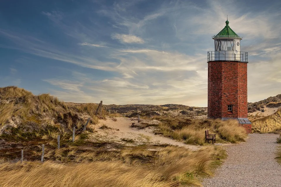 Sylt entdeckt: Hunderte Seesterne überraschend an den Strand gespült!