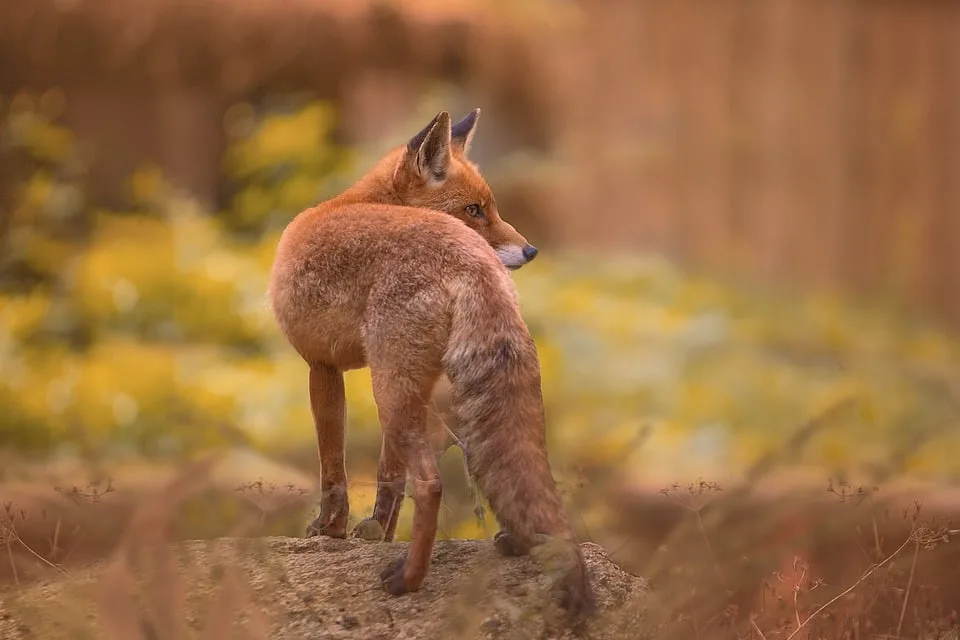 Tierische Abenteuer im Tierpark Hellabrunn: Ein Blick hinter die Kulissen