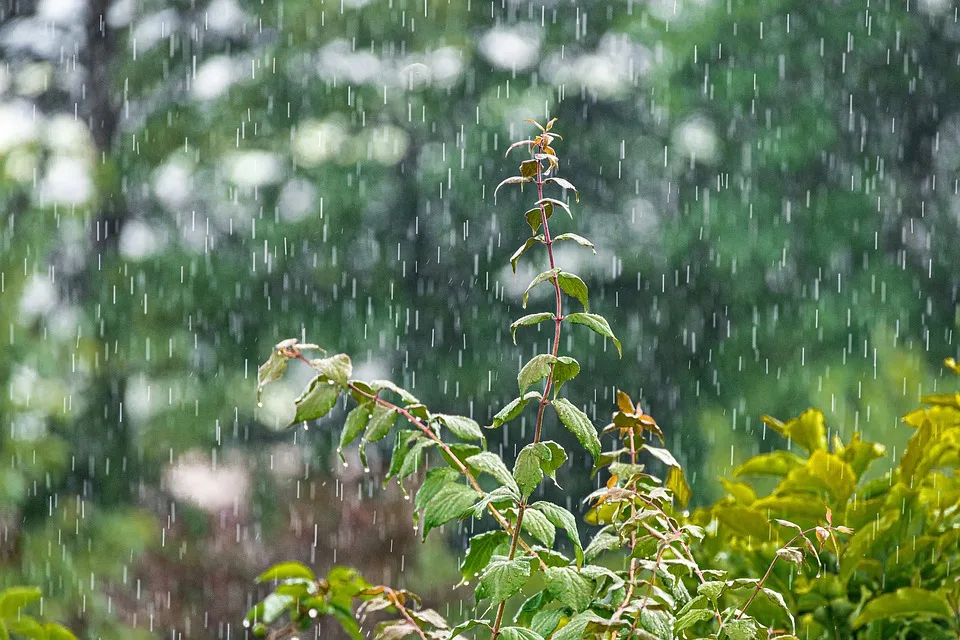 Wetterprognose Koblenz: Abwechslungsreiche Tage zwischen Sonne und Wolken