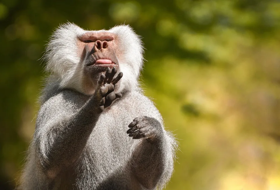 Die unsichtbaren Bewohner des Zoos Leipzig: Gefährliche Quallen und mehr!