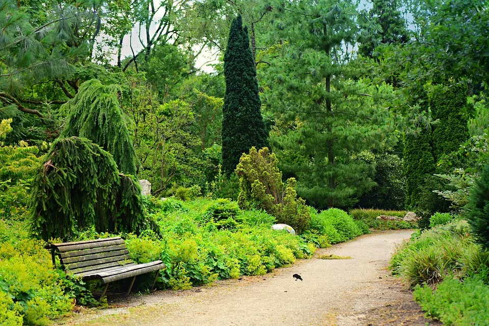 „MUT-TOUR 2024: Psychische Gesundheit im Fokus in St. Wendel“