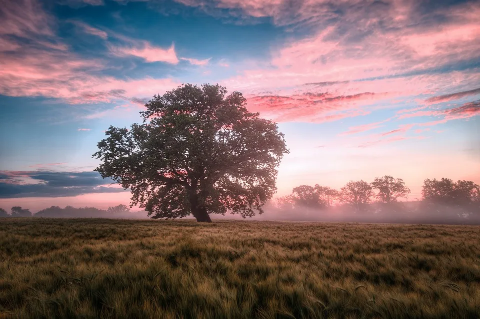 „Naturgärten im Landkreis: 14 Auszeichnungen für nachhaltige Gärten“