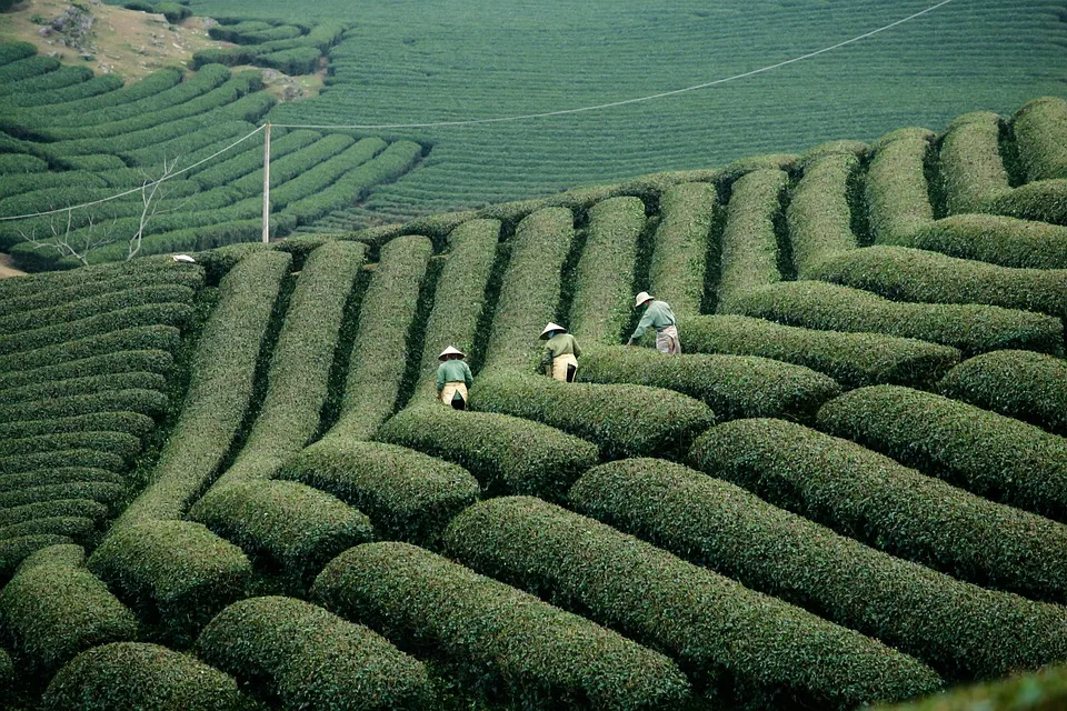 „Norla 2023: Landwirtschaftskammer initiiert Zukunft mit Ausbildung und Technik“