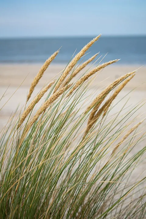 „Urlaubstragödie an der Ostsee: 78-Jähriger aus Berlin tot geborgen“