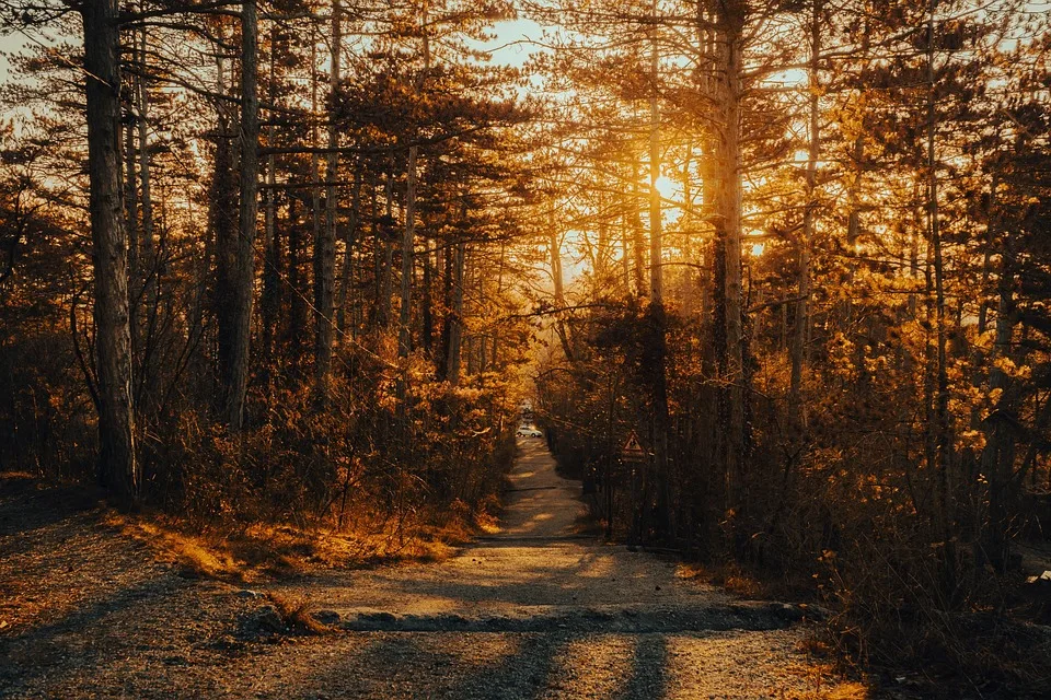 Acht aufregende Wanderungen und Radtouren im Herzen der Natur!