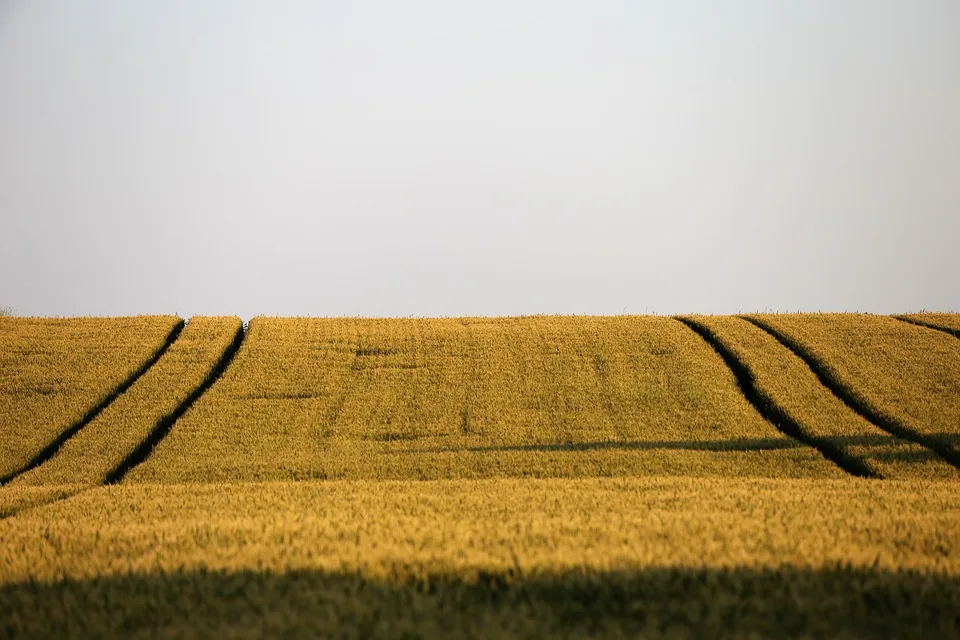 Agri-PV im Landkreis Kassel: Innovative Energie für Breuna und Umgebung