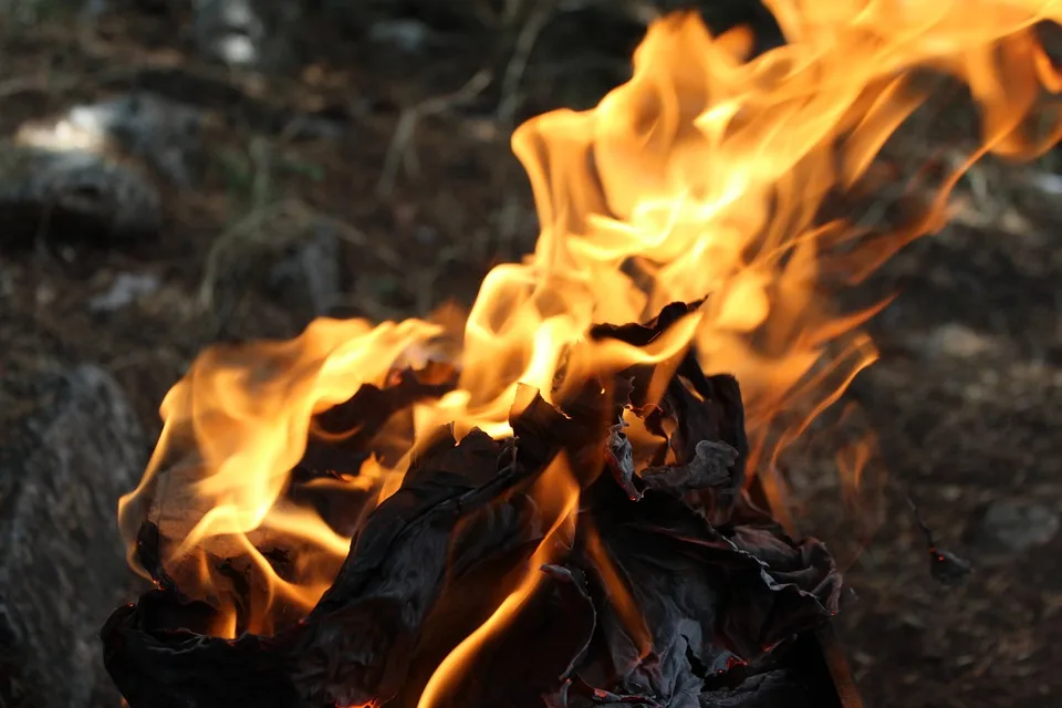 Brandgefahr im Harz: Große Feuerfront bedroht den Brocken