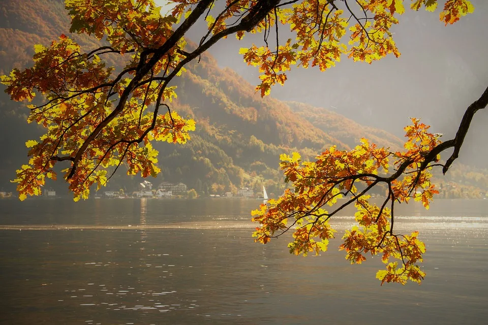 Das große Herbstleuchten 2024 im Maxipark: Farbenfrohe Lichterpracht!