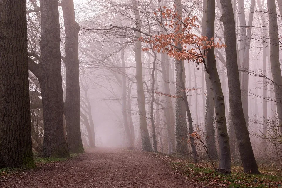 Der Fußgönheimer Wald: Zwischen verwunschener Idylle und kritischem Zustand