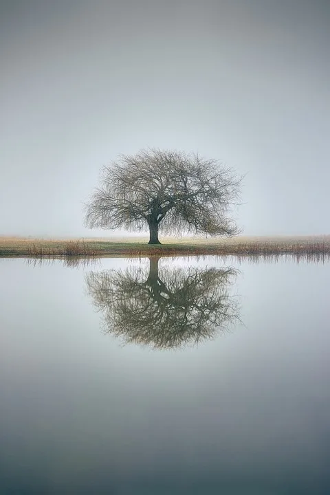 Die Farben der Natur: Ein Blick hinter die Farbpalette unseres Umfelds