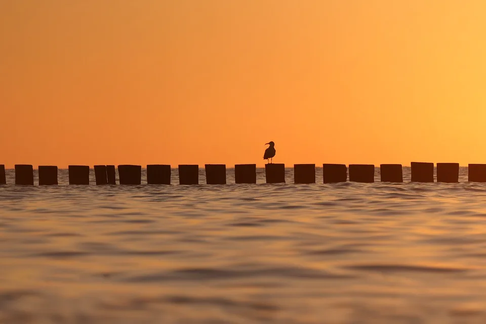 Ein letzter Wunsch an die Ostsee: Dagmars Herzensreise nach Kühlungsborn