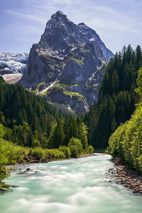 Entdecken Sie die natürliche Vielfalt im Windrather Tal: Einladung zur Wanderung