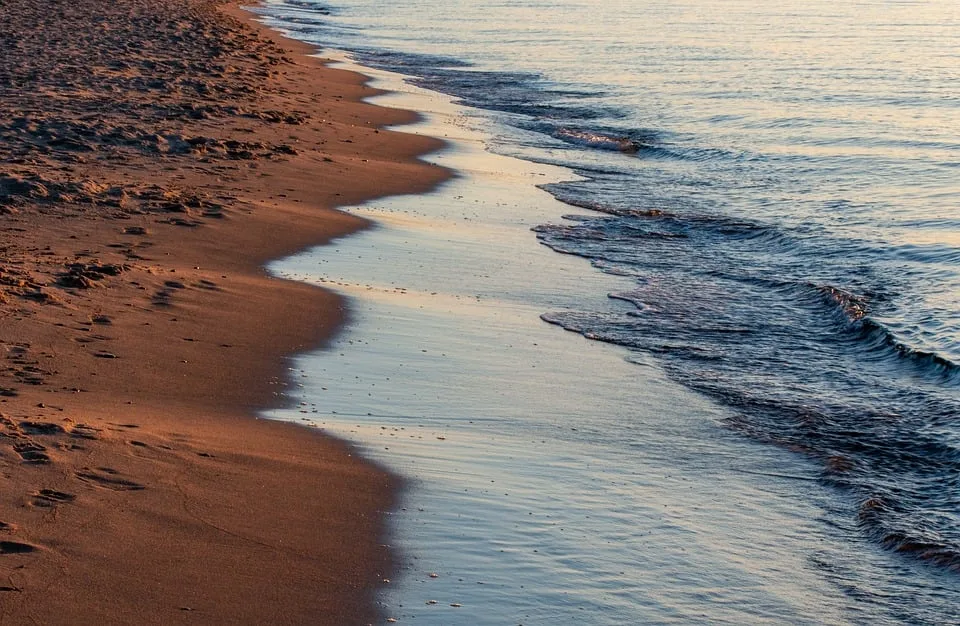 Freiwillige packen an: Strand von St. Peter-Ording wird sauber gemacht!