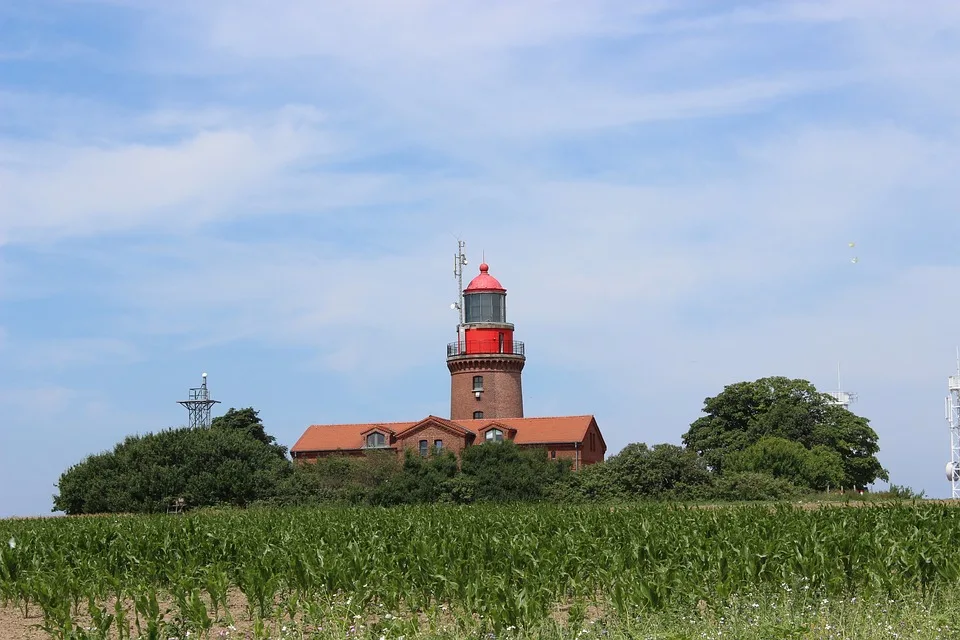 Hansa Rostock verpflichtet Sigurd Haugen: Ein Stürmer für die Zukunft