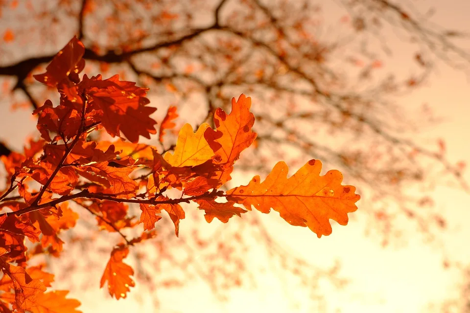 Herbstbeginn in München: Spätsommerliche Wärme trifft auf Unwetterrisiko