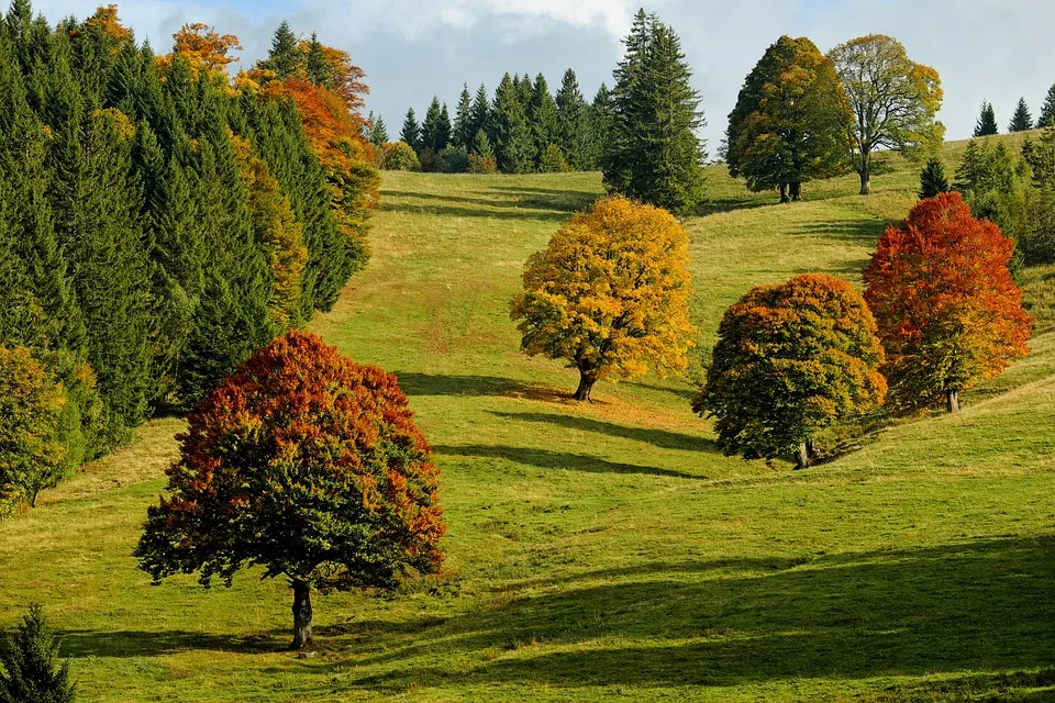 Herbstlicher Wetterumschwung: Gewitter und Temperatursturz in Hessen