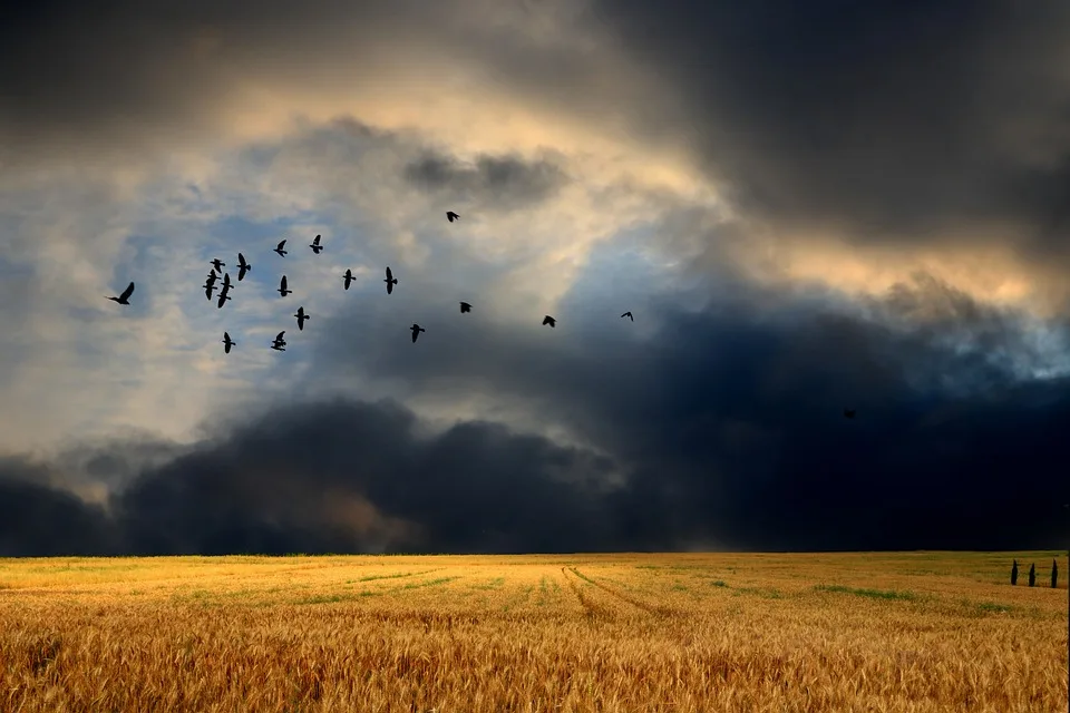 Hitzewarnungen und Gewitter: Wetterchaos in Kassel und Nordhessen