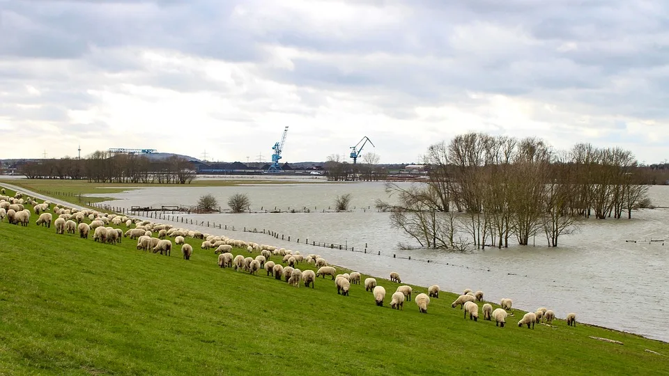 Hochwasser-Alarm in Brandenburg: Kommunen wappnen sich für Notfälle!